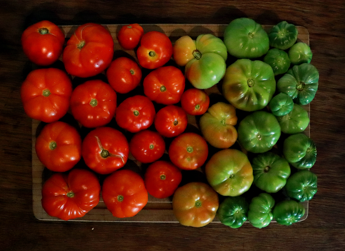 Green Tomato Chutney - The Vegan Eskimo