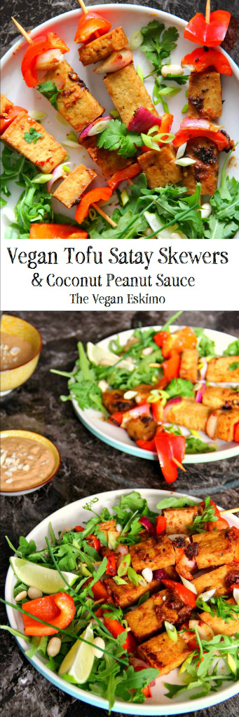 Vegan Tofu Satay Skewers And Peanut Sauce