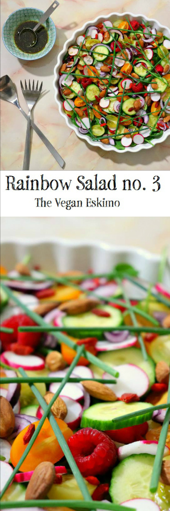 Rainbow Salad no. 3 - The Vegan Eskimo