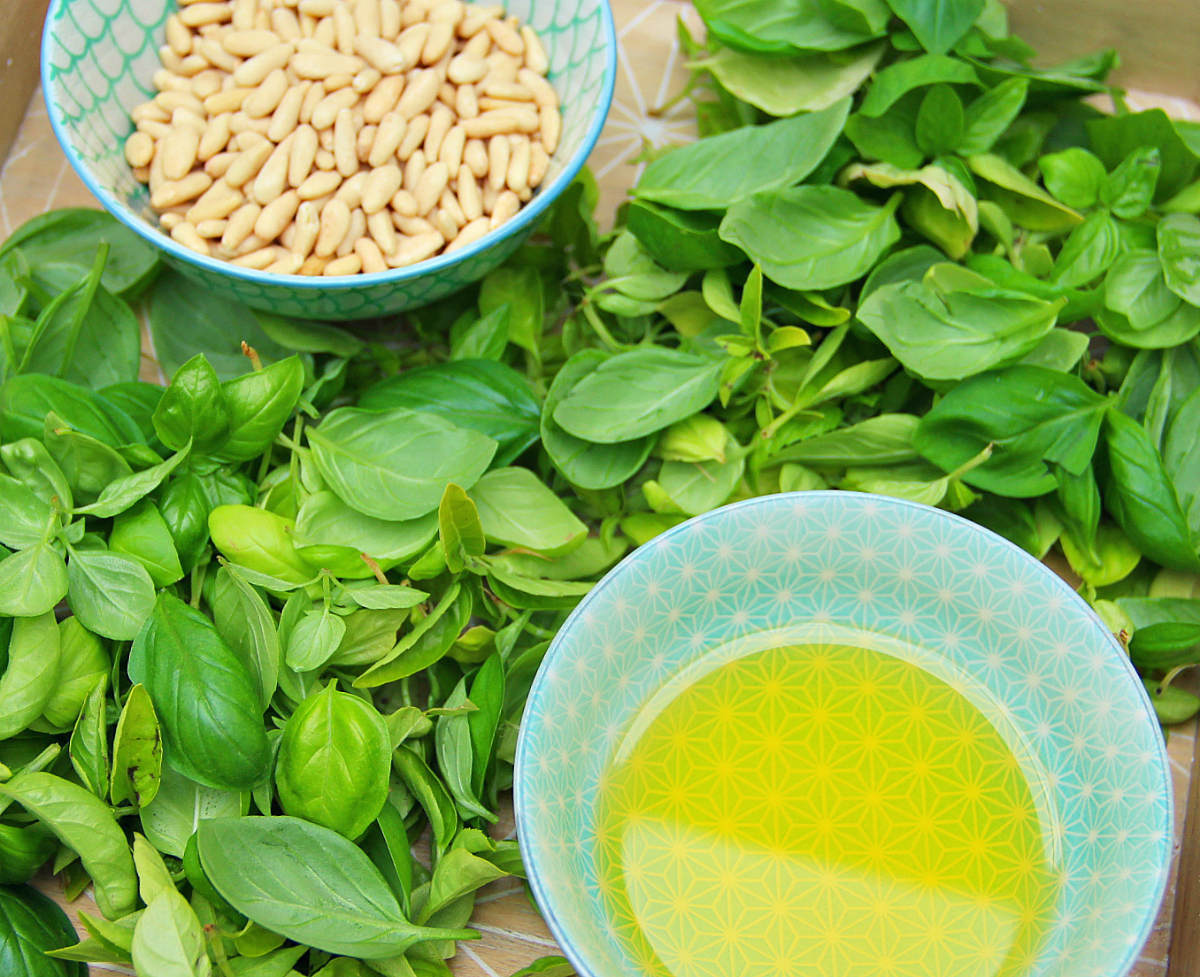 Vegan Basil Pesto Pine Nuts - The Vegan Eskimo